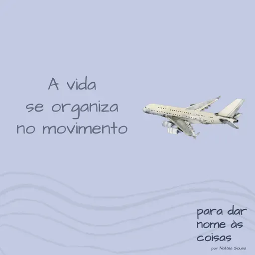 S06EP223- A vida se organiza no movimento