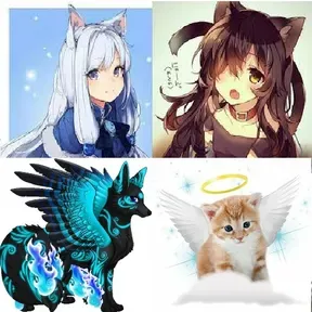 Kitty Playlist