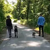 👫 ... najbolj slaten priboljšek ne pomaga 🤣 help me!