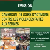 CAMEROUN: 16 JOURS D’ACTIVISME CONTRE LES VIOLENCES FAITES AUX FEMMES