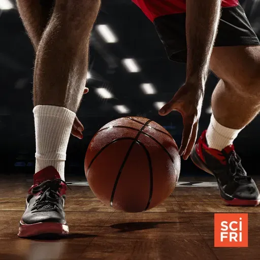 The Surprising Science Of Why Sneakers Squeak