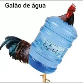 Hinos Br
