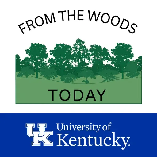 From the Woods Today - Forest Health and KDF