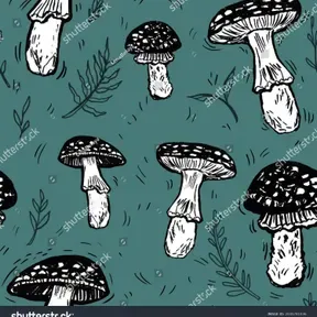 Tudo sobre música desporto e mundo dos famosos