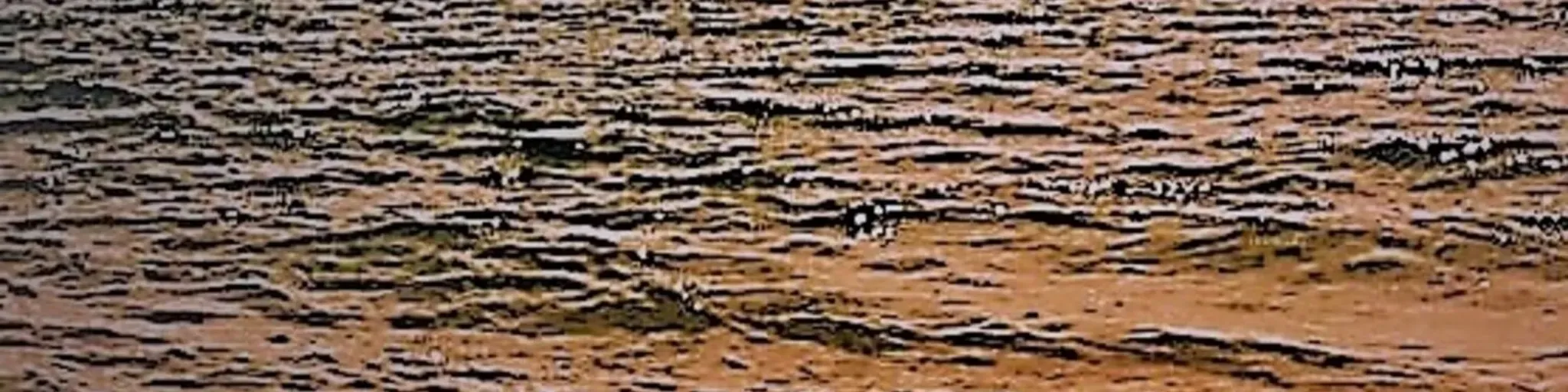 YUZSSFIRST-SONGS SELECTION