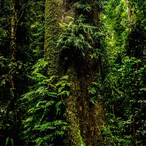 Mediumship Transmission from Harry's Higher Self. S17. Ep2.