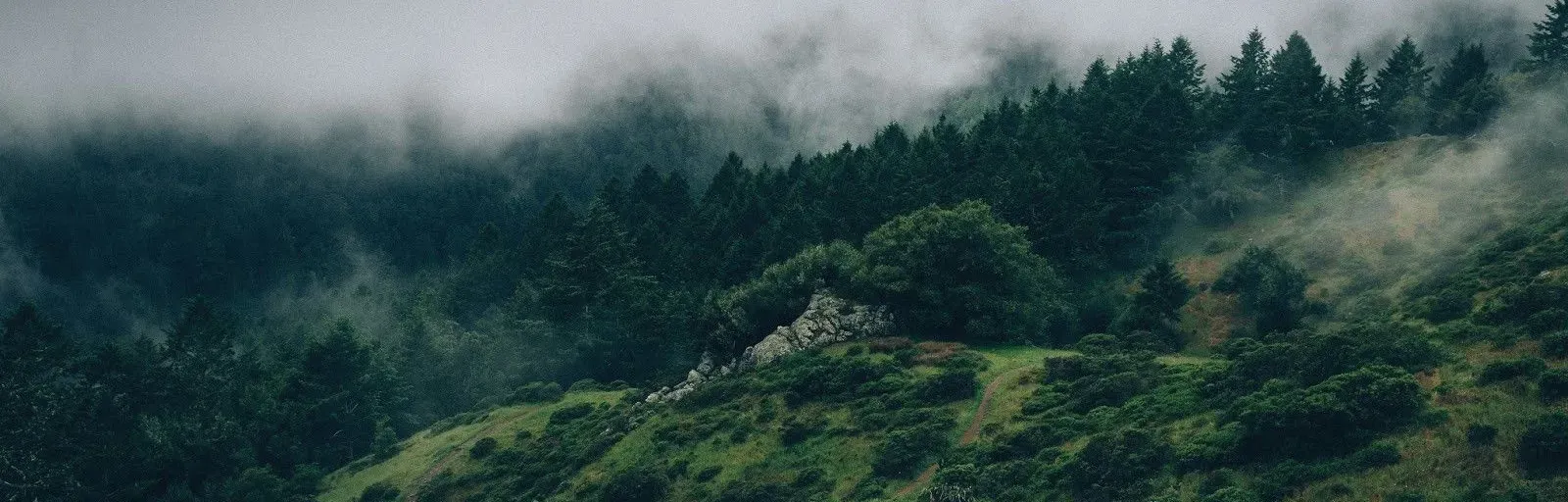 Playlist Chill
