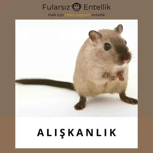 Alışkanlık: Sığınak mı Zincir mi?