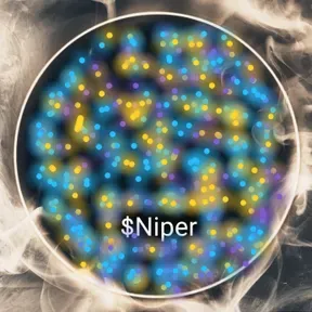 NIPER FM