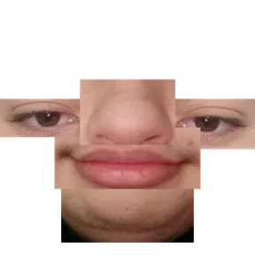 PruebaX