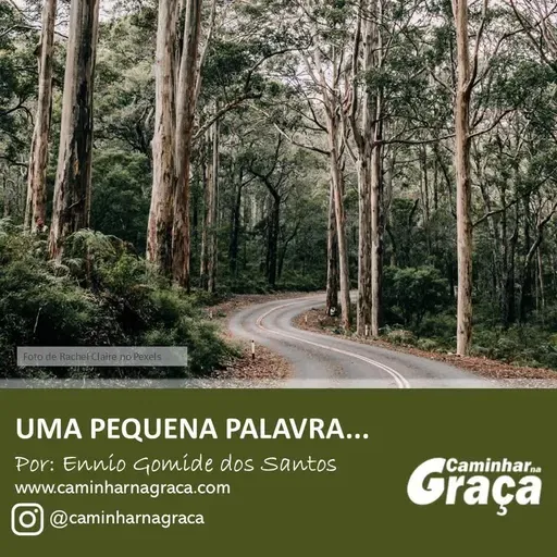 Graça que resgata