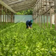 Agroecología: Formas de campo argentino que recuperan suelos y genera alimentos sanos