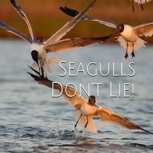 CHAPTER 15 - Others - Those things...