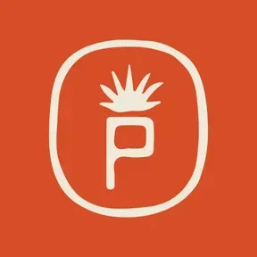 POTS Radio
