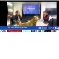 #objetivoAM en el estudio////el Defensor del Voto de la 4T para el Senado, Alfonso Sánchez.