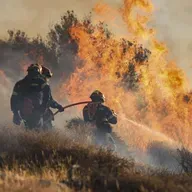 Why research into ‘forever chemicals’ includes firefighters