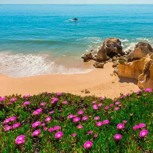 Dove andare in vacanza questa primavera