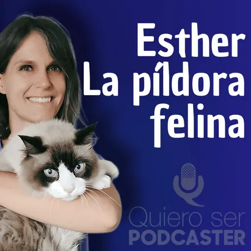 Un podcast diario sobre gatos que funciona mejor que muchos de marketing