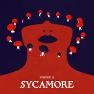 15: SYCAMORE