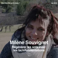 #243-  Régénérer les sols avec les lactofermentations avec Milène Souvignet, ingénieure agronome et chercheuse e en agro-écologie