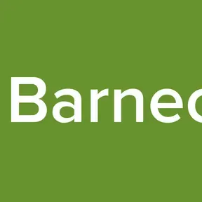 Radio Barnecheina