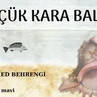 Küçük Kara Balık - Samed Behrengi (Sesli Masal - Tek Parça)