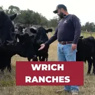 How Ranches Stay Profitable Without Compromising Animal Welfare (Live Farm Tour) - Wrich Ranches | #105