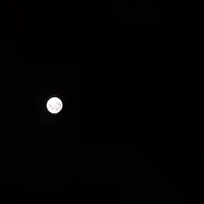 Corcel