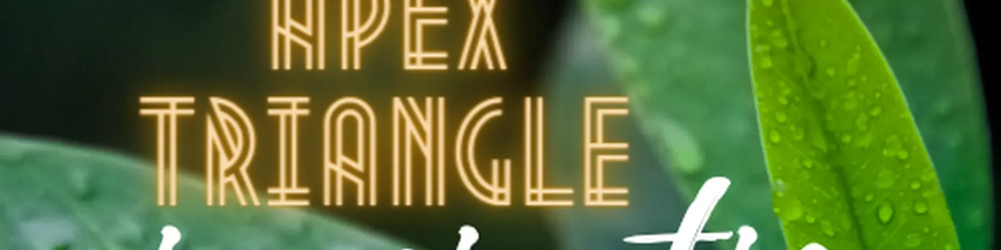 APEX TRIANGLE  INSPIRATION