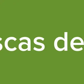 Moscas de bar