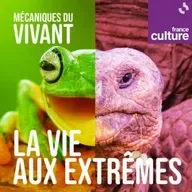 Mécaniques du vivant, saison 7 : La vie aux extrêmes