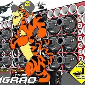 TIGRAO FM