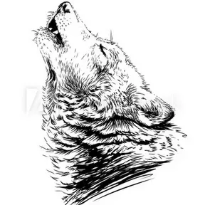 RADIO 4 EVER WOLF