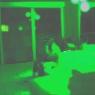 feid-confesion