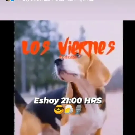 losviernes sesión 6-13