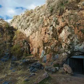 SENTIMIENTO LIVITACA