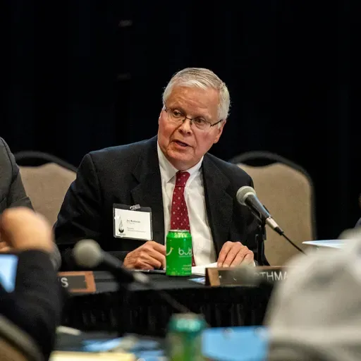 Regents vs Rothman, Mail-in voting, Magic realist art