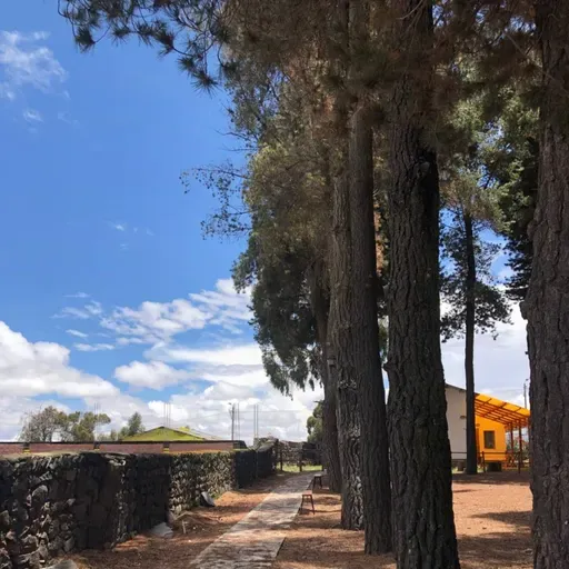 Evangelio del 24 de febrero