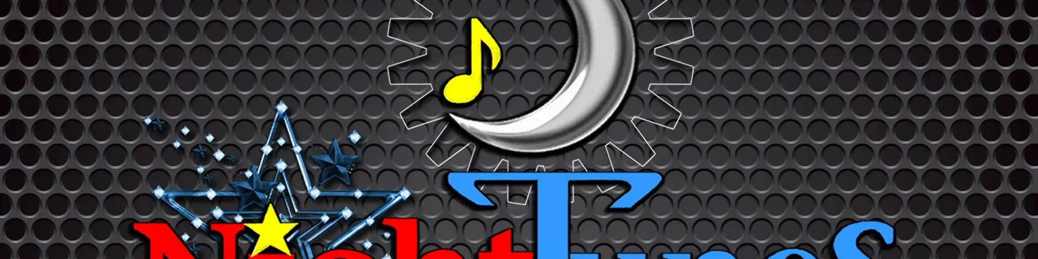 Night Tunes FM