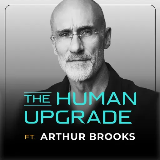 Arthur Brooks | Why Your Life Has No Meaning : 1438