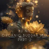 DJ NIL ORGANIC BUDDHA PART 2 K25