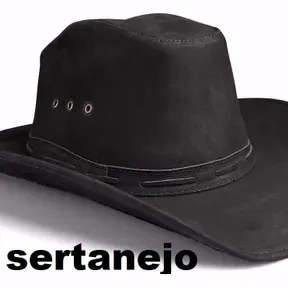 Mais Sertanejo