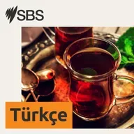 Aziz Behiç: Avustralyalı futbolcular Türkiye maçına hazır