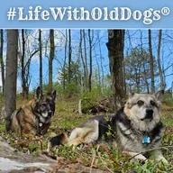 Final Episode of Season 9 - Sanctuary Updates