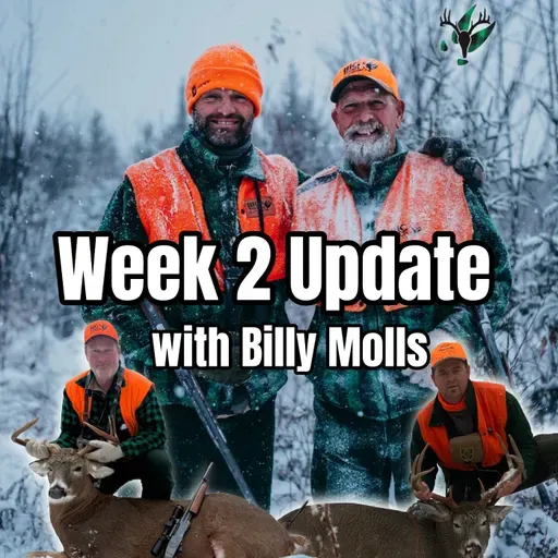 Deer Season Week 2 Update with Billy Molls | Big Woods Bucks Podcast Ep 182