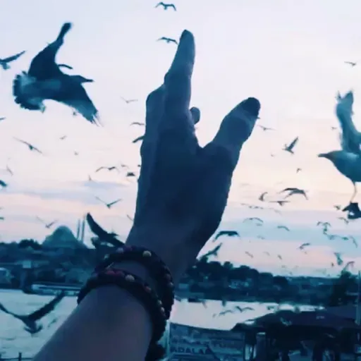 #368. Mektûba Zîzê: Heta Xatirxwestinê