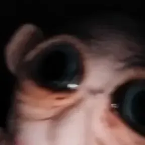Salsa 1