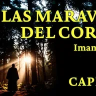 "Diferencias y ejemplos entre ambas estaciones" Capítulo 8 Las Maravillas del Corazón [Al-Gazzali]