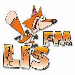 LisFm у прямому ефірі
