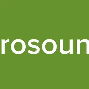 Sarosounds
